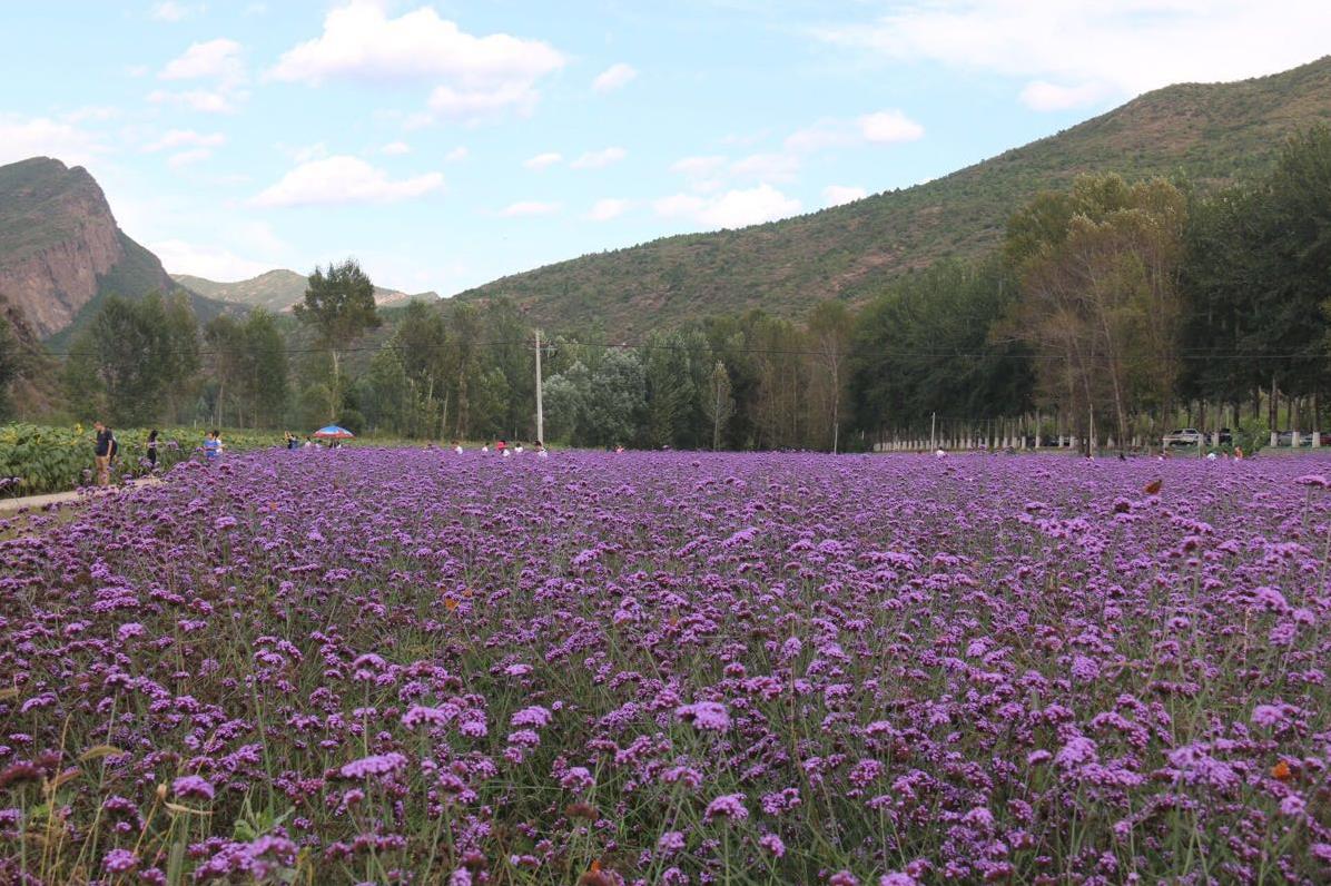 延庆百里山水画廊自驾游_延庆百里山水画廊风景区_延庆百里山水画廊