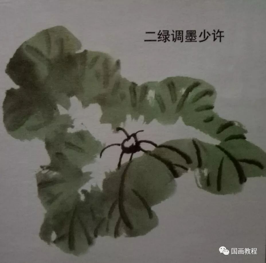 荷花结构的分解方法—荷叶的画法(1)