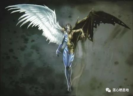 折翼的天使唯美图片