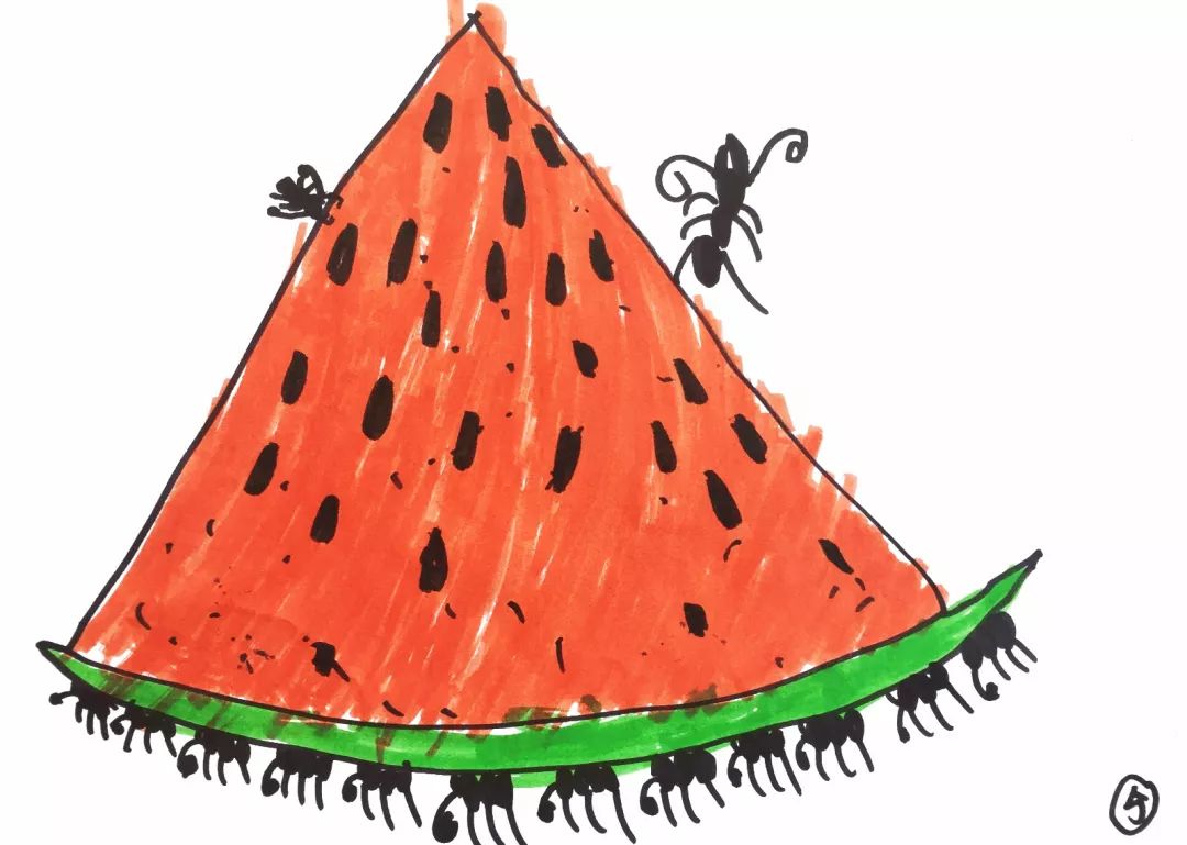 蚂蚁吃西瓜 简笔画图片