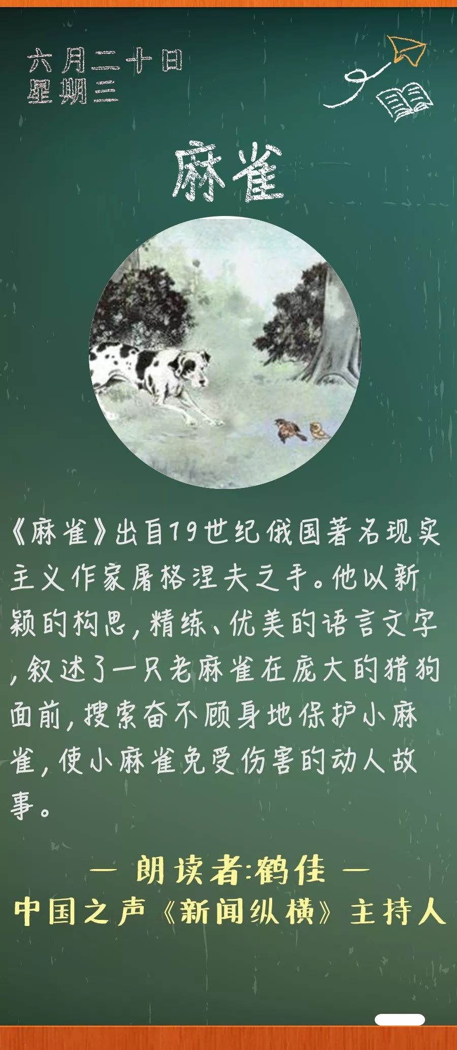 麻雀丨那些年我们一起读过的课文