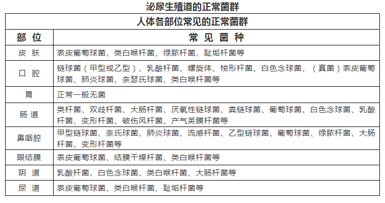 人体内正常菌群分布图图片