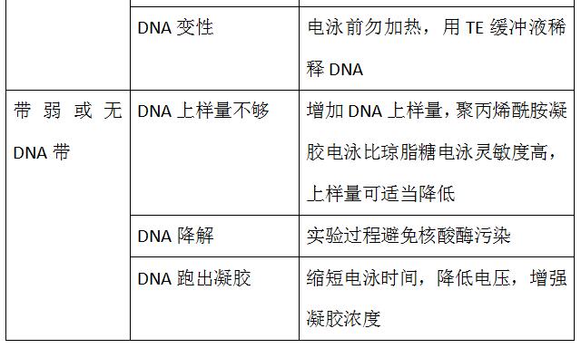 样品|知识分享：琼脂糖凝胶电泳