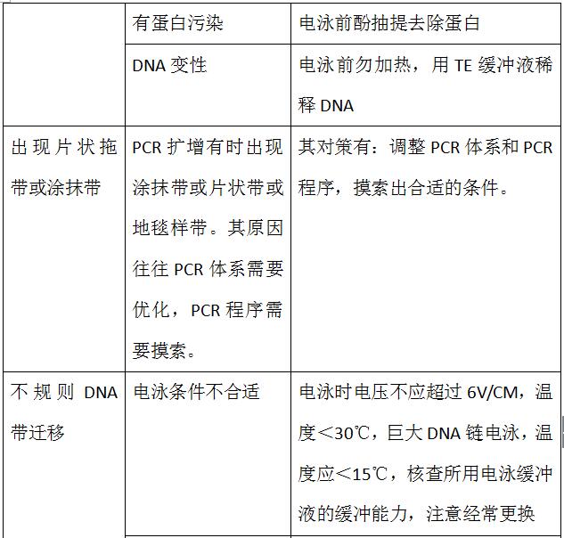 样品|知识分享：琼脂糖凝胶电泳