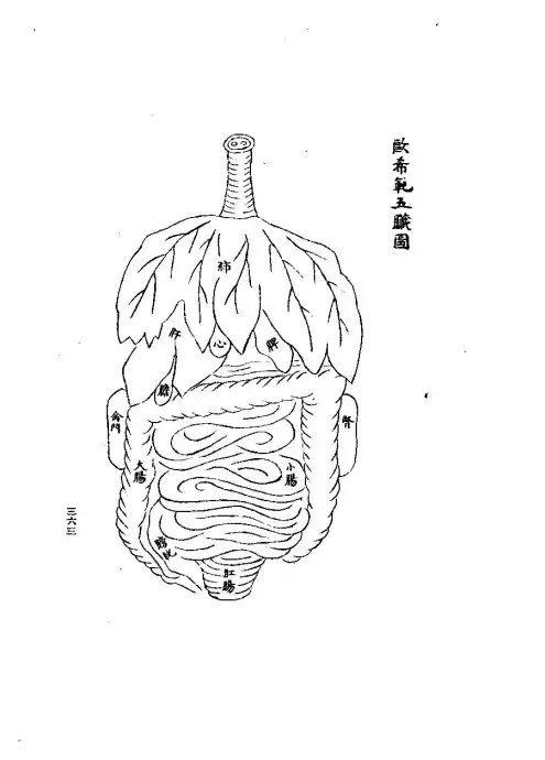 中国医学史的十二之最