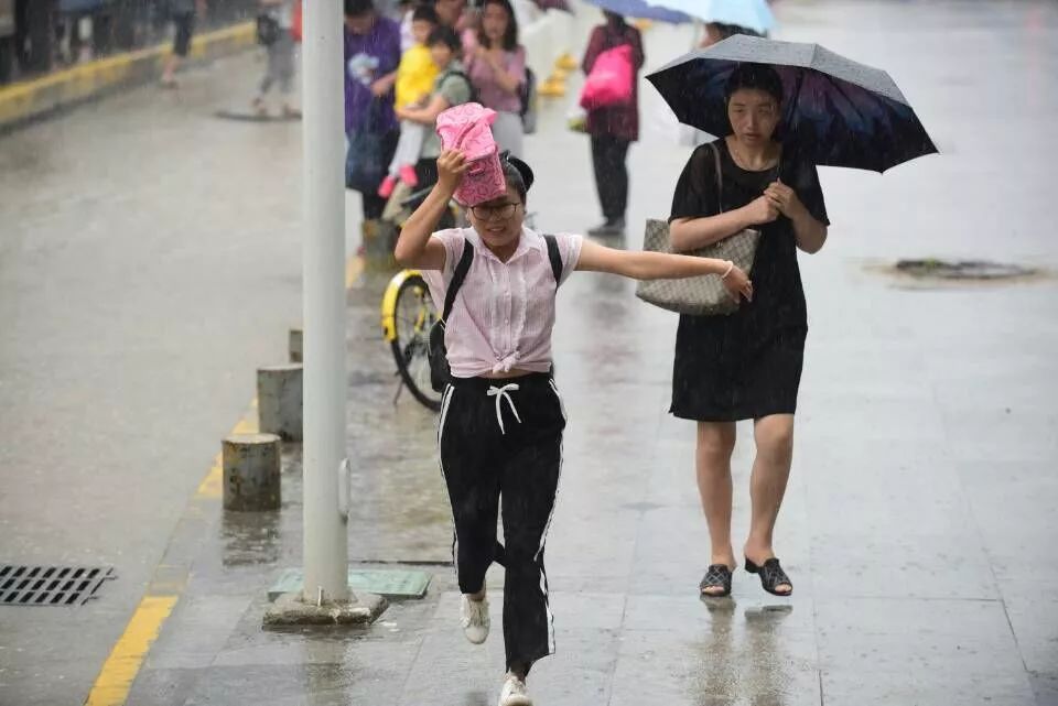 城表情 江城暴雨来袭,你被淋湿了吗?