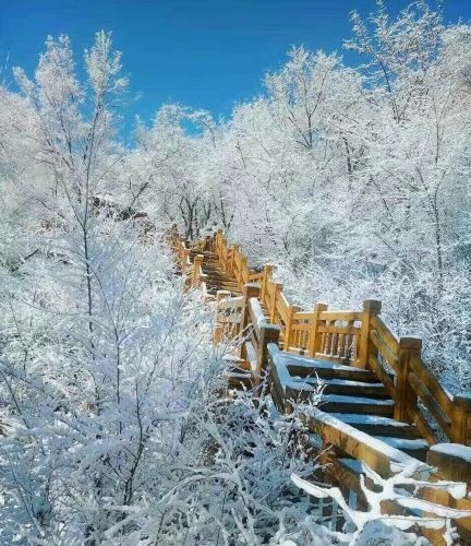 大石桥蟠龙山冬天图片