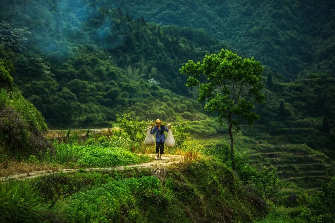 央視拍攝記錄片《中國農村改革40年》,這個村子發生了驚人的變化!