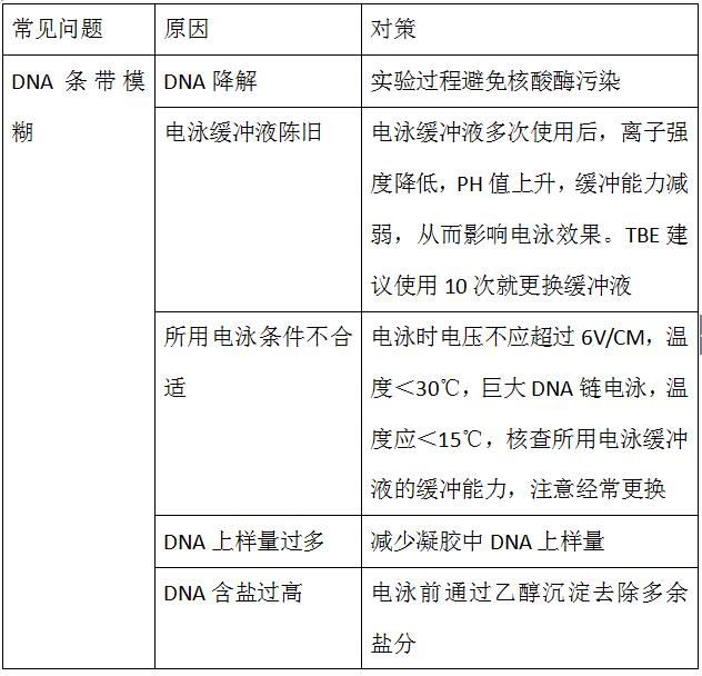 样品|知识分享：琼脂糖凝胶电泳