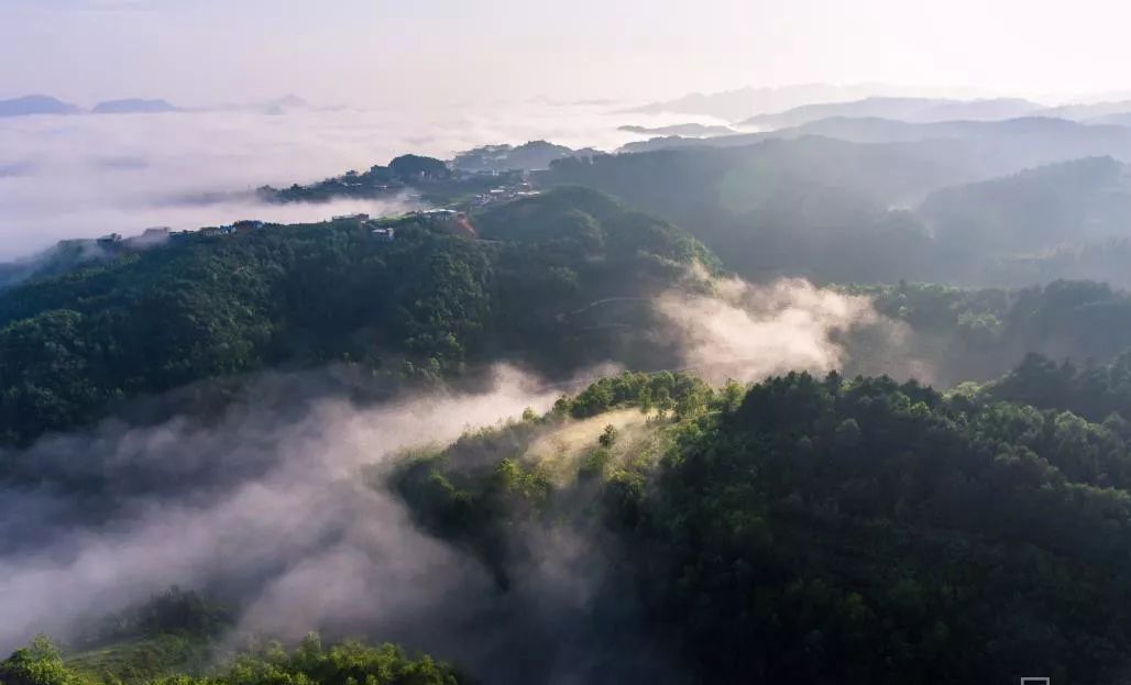 【白云知政】2020年 贵州将建成300个森林旅游景区