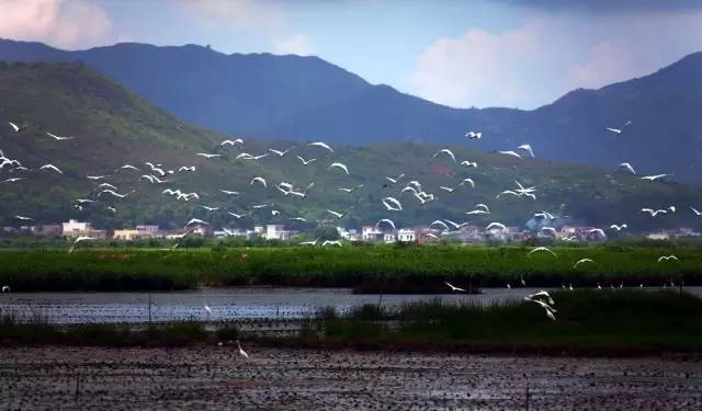 西衝鹽倉村海灘和西衝楊屋村海灘分別是西衝渡頭村海灘,西衝灣仔村