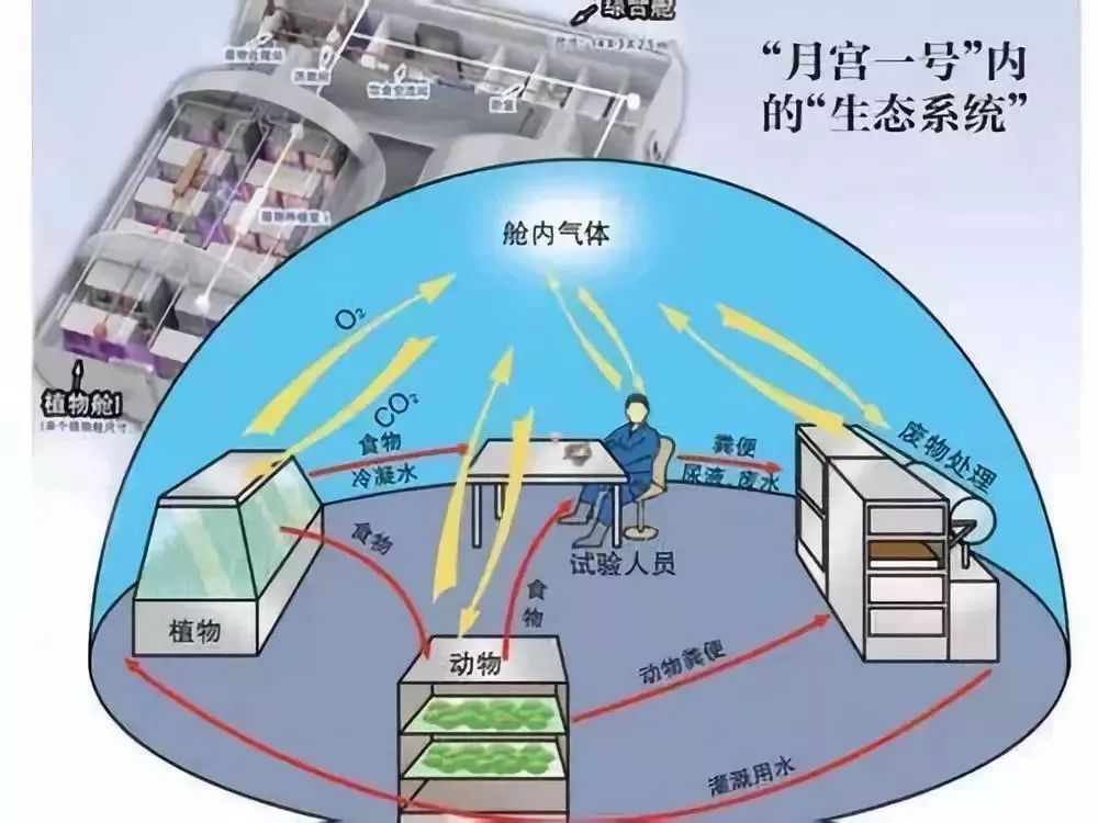 而更早一些时候发生的黄金大米事件涉及的则主要是被测试对象的知情