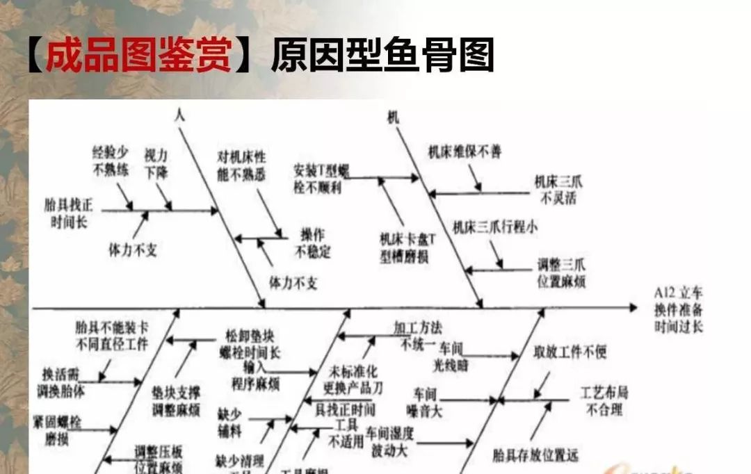 人类起源鱼骨图图片