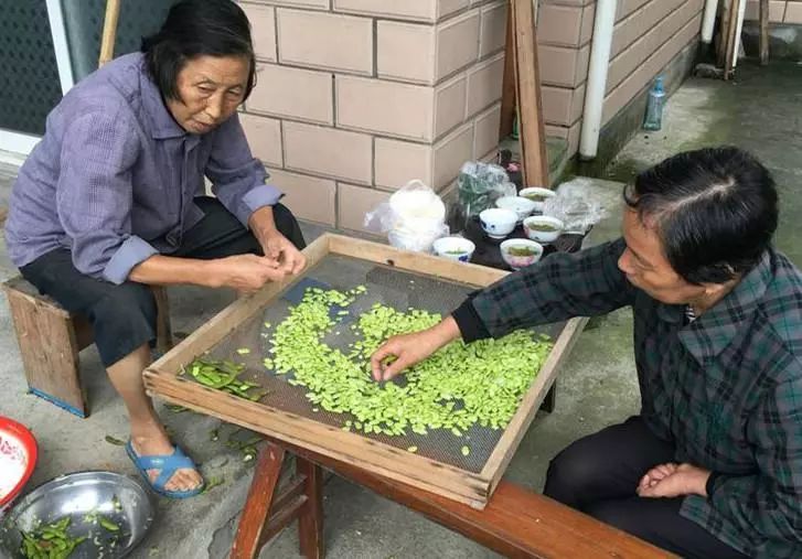 三道茶湖州人的待客之道