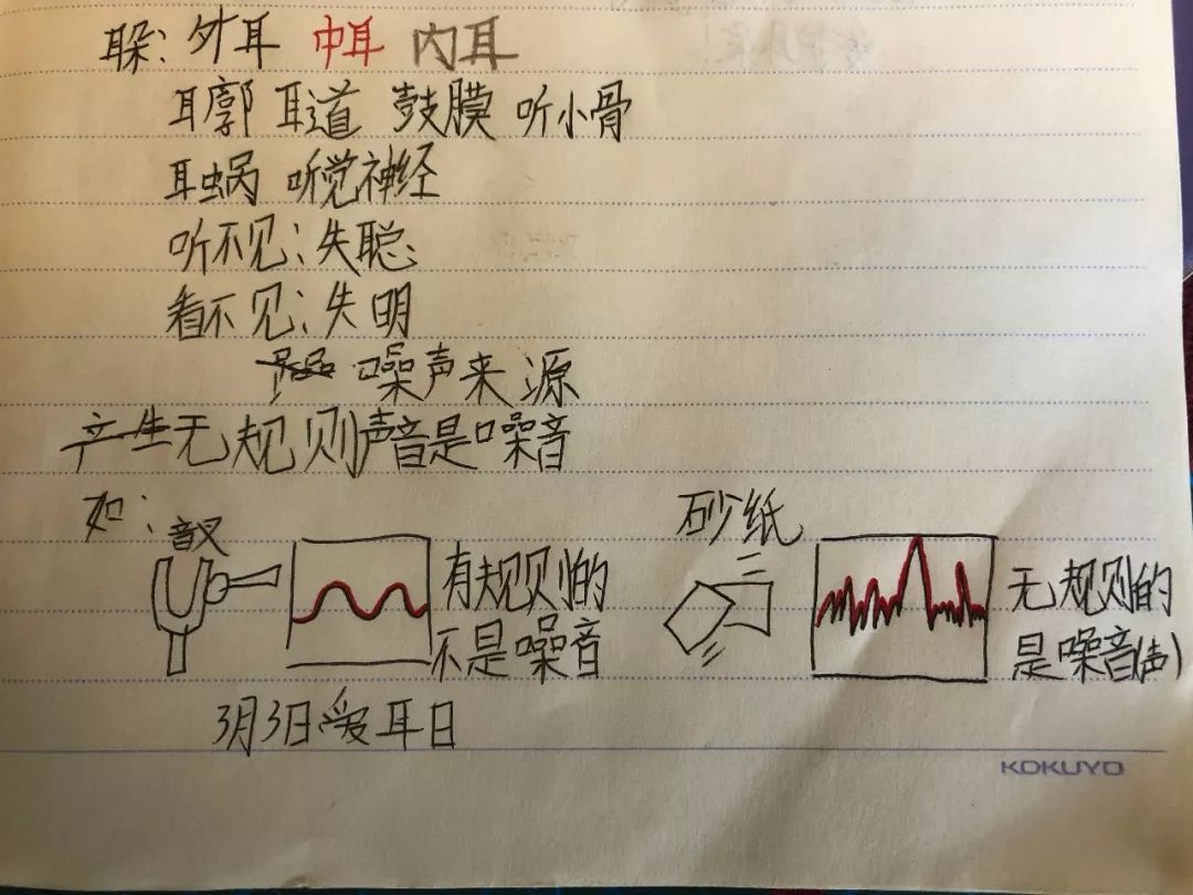 你觉得小学生科学课笔记是什么样