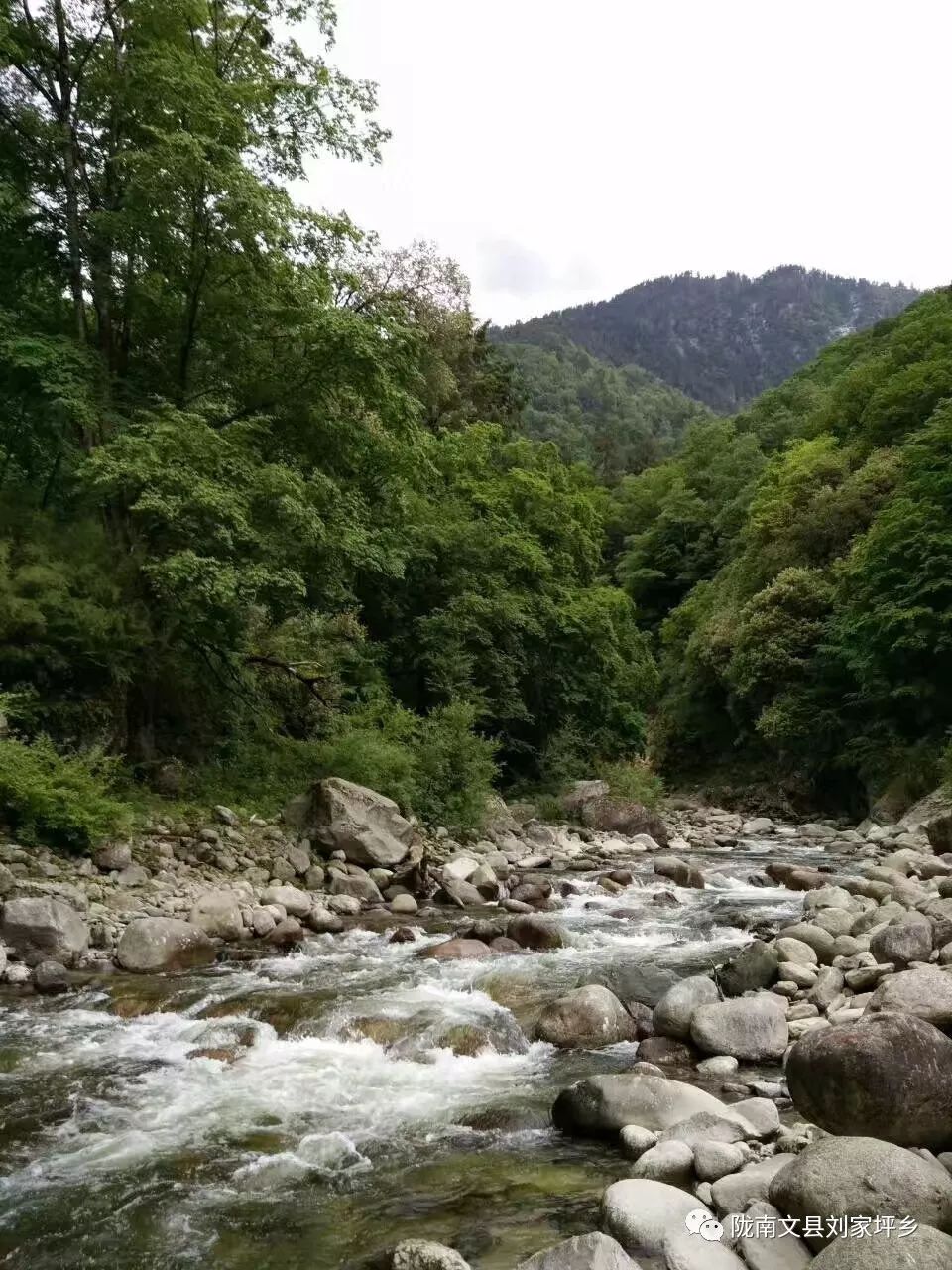 刘家坪木耳场水库公园图片