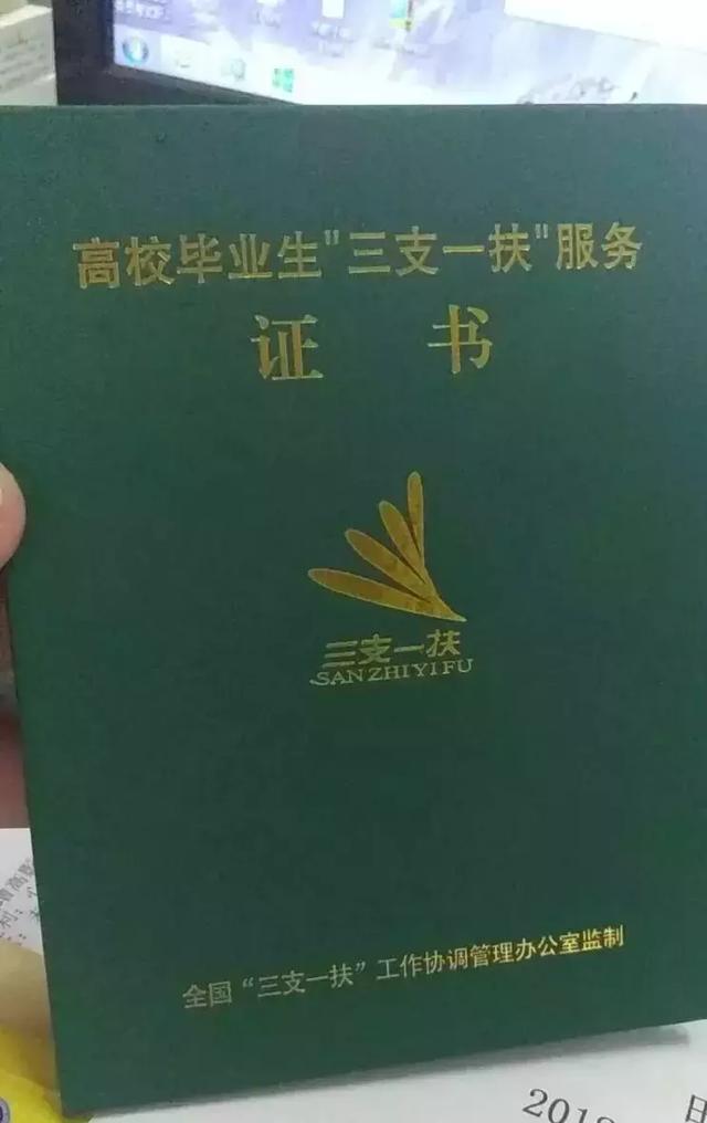 從三支一扶到在編人員,努力有回報,回報是喜人的!