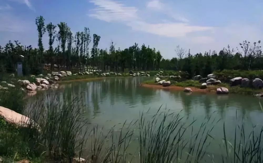 盤點鄭州夏天那些避暑納涼的公園,週末和朋友一起去走走吧