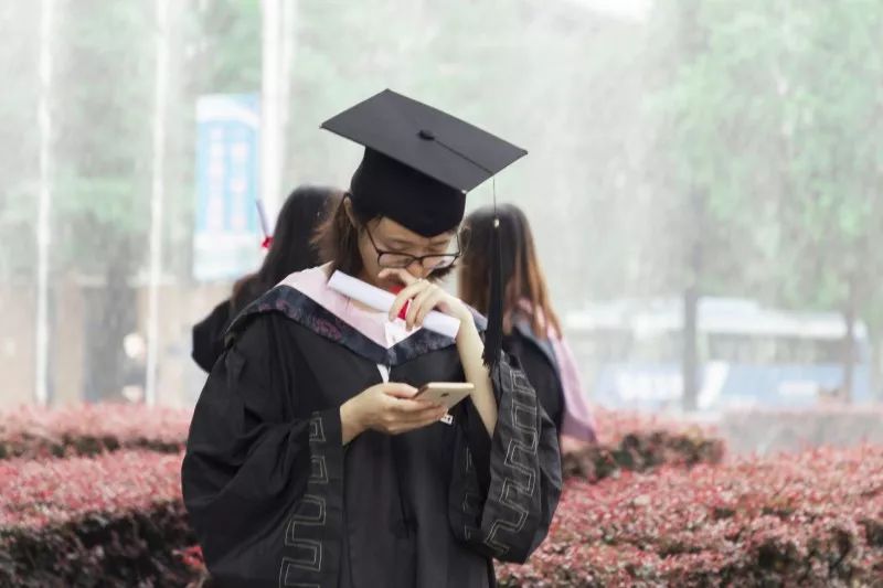 张玲铮简介图片