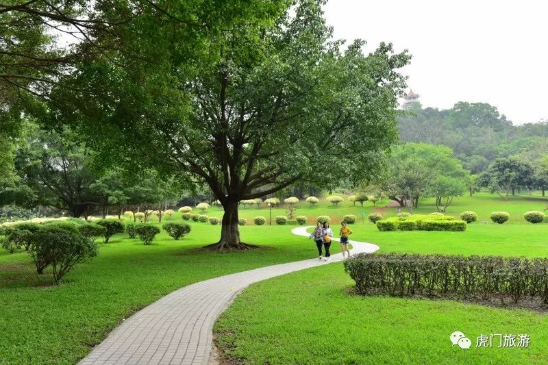 這是我們認識的虎門公園嗎?你也能來拍大片!