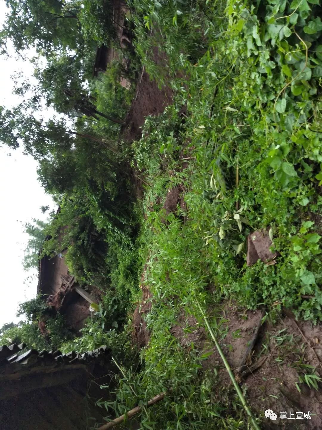 宣威楊柳山體滑坡!1人下落不明(附現場照片,視頻)