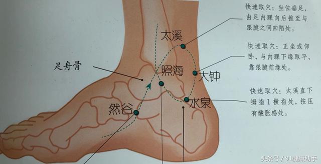 穴位养生月经不调痛经小便不利肾虚腹痛按水泉穴清热益肾