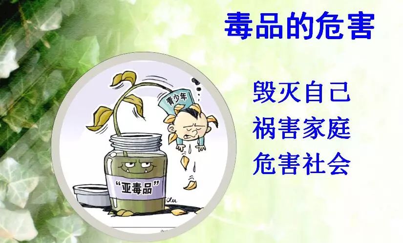 毒品,让生命更美好—景炎初一年级小记者体验不一样的法制教育课