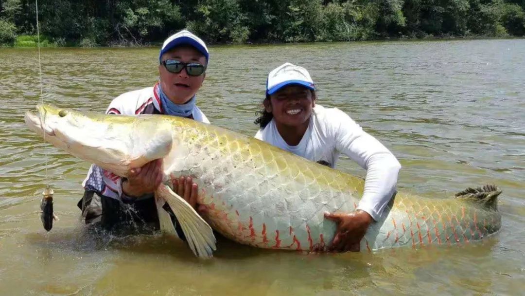 地球之肺探釣之旅亞馬遜之十巨骨舌魚篇