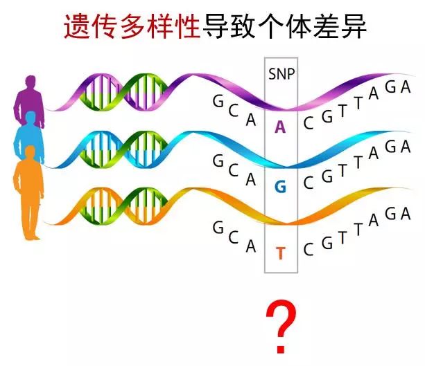 讲座丨老生谈老化——原来衰老也可以很从容!