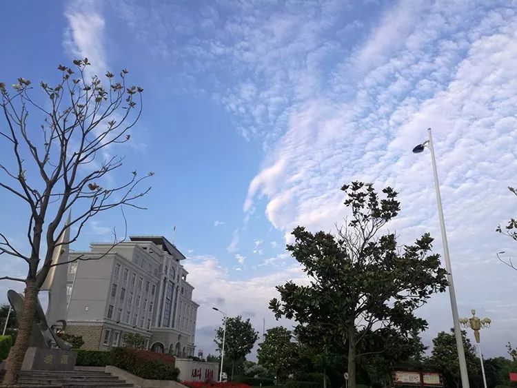 蔚藍的天空(上農辦事處 劉麗君 攝於四岔河監獄附近)夕陽下的農業展示