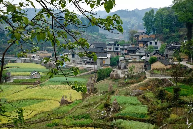 联山湾乡村旅游区图片