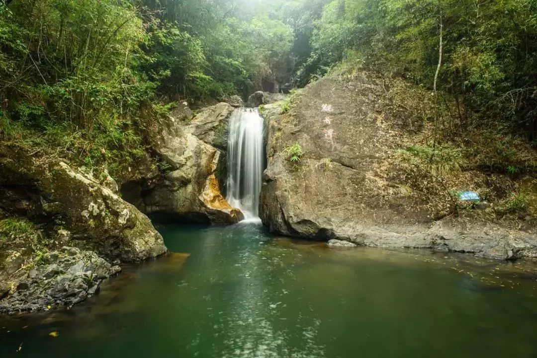 《惠州美景》想知道龍門有啥好玩的小夥伴看這裡!