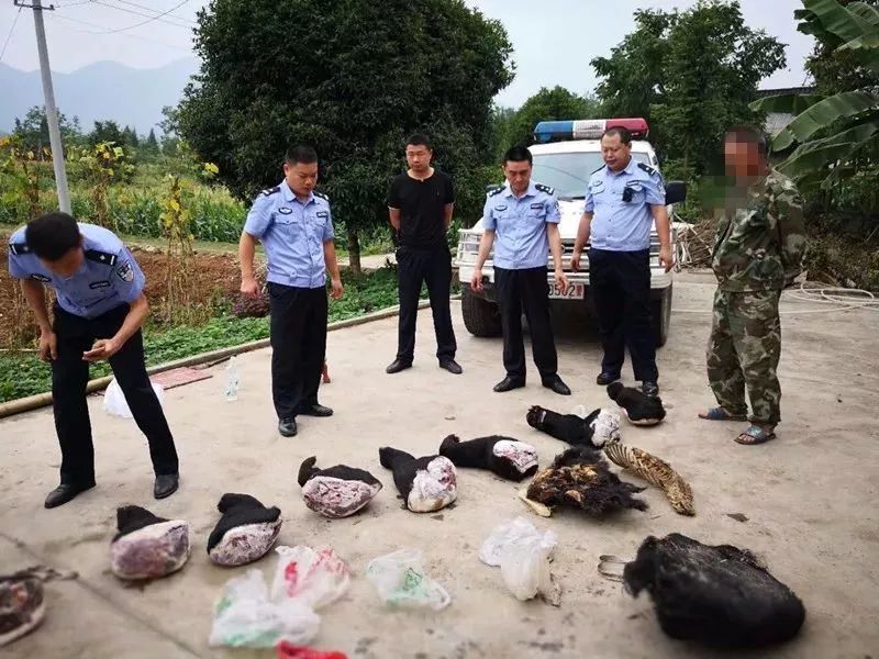 桑植首富图片