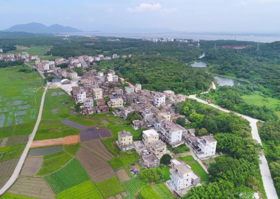 海陵岛这条800年历史的村庄,有许多你不知道的故事.