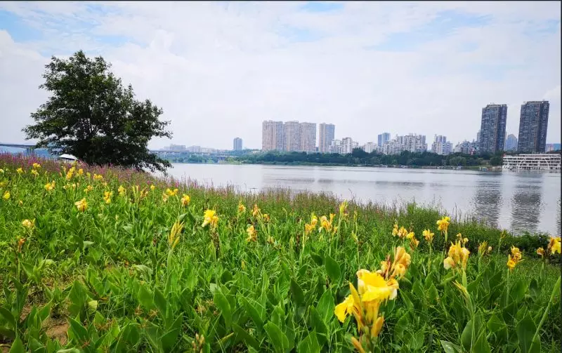 8月底,南充高坪這個公園就要全線開園了!