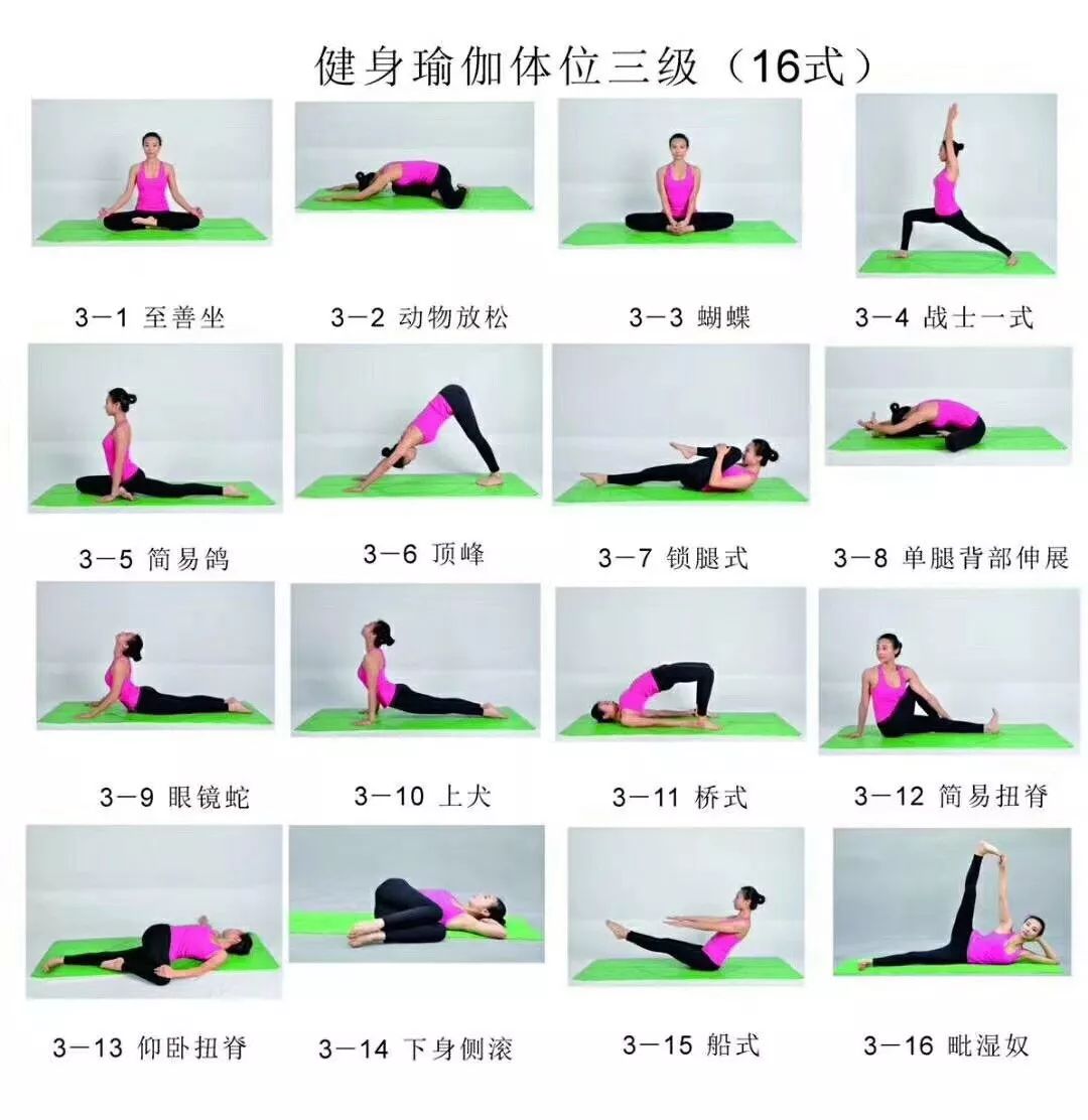 瑜伽每天必练8个动作图片