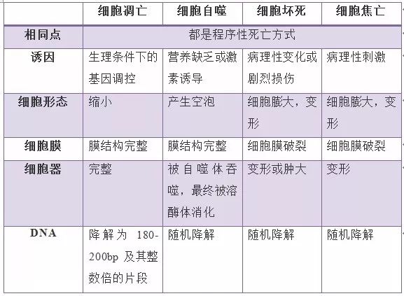 发生机制及研究现状,并总结了细胞凋亡,自噬,坏死和焦亡区别,它们之间