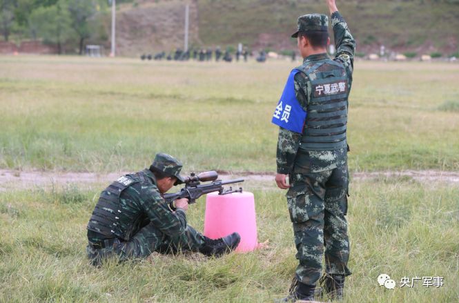 武警沙狐突击队图片