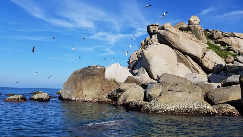 红海湾神秘岛图片