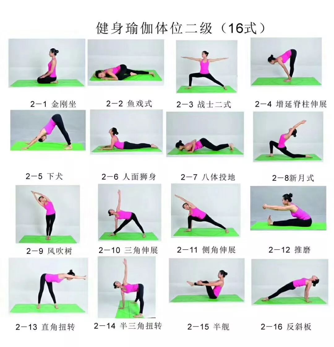 健身瑜伽108式体位标准图片