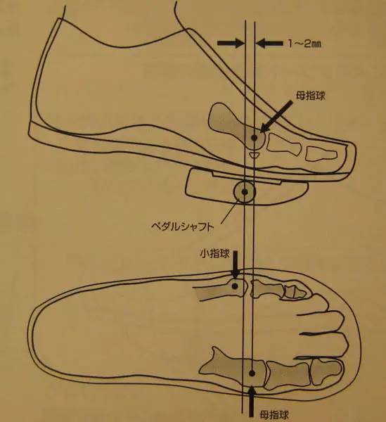 但國際上大眾公認的一個好的參考標準就是第二隻腳趾的籽骨與鎖踏軸