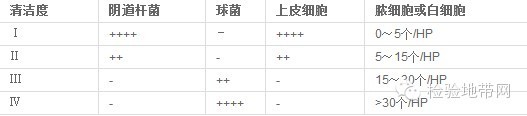 阴道分泌物白带常规检查及镜检图片