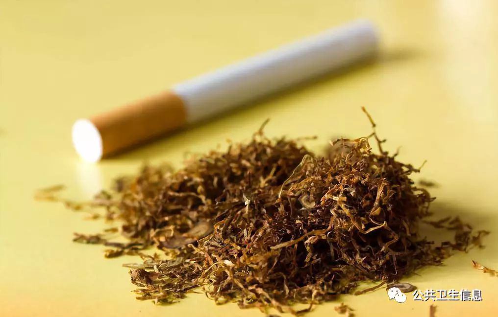 上海卫生科技周烟草尼古丁是一种与海洛因和可卡因有同等作用的成瘾