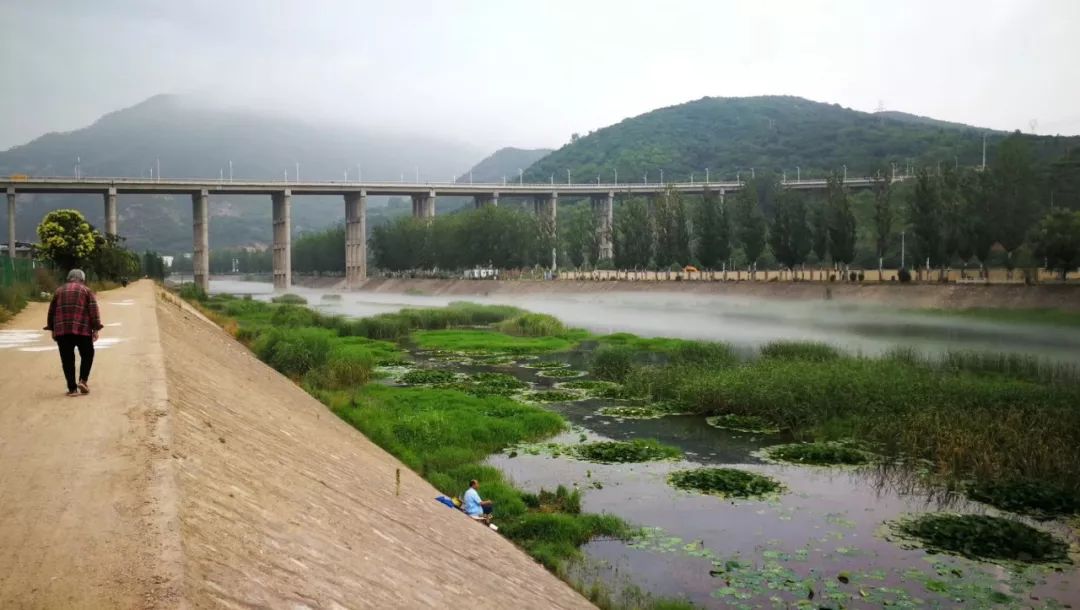 今天清晨,商洛市二龍山水庫壩下的丹江河道出現了美麗的平流霧景象