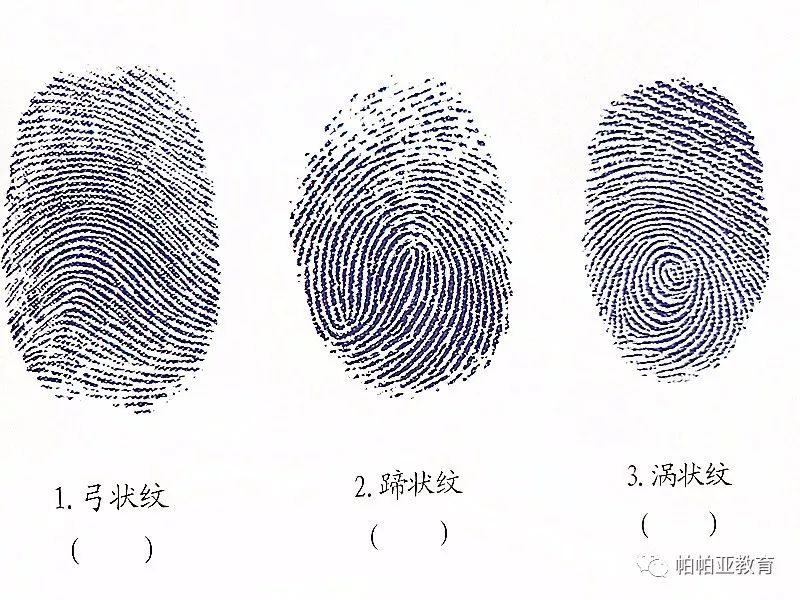 科学实验指纹身份证