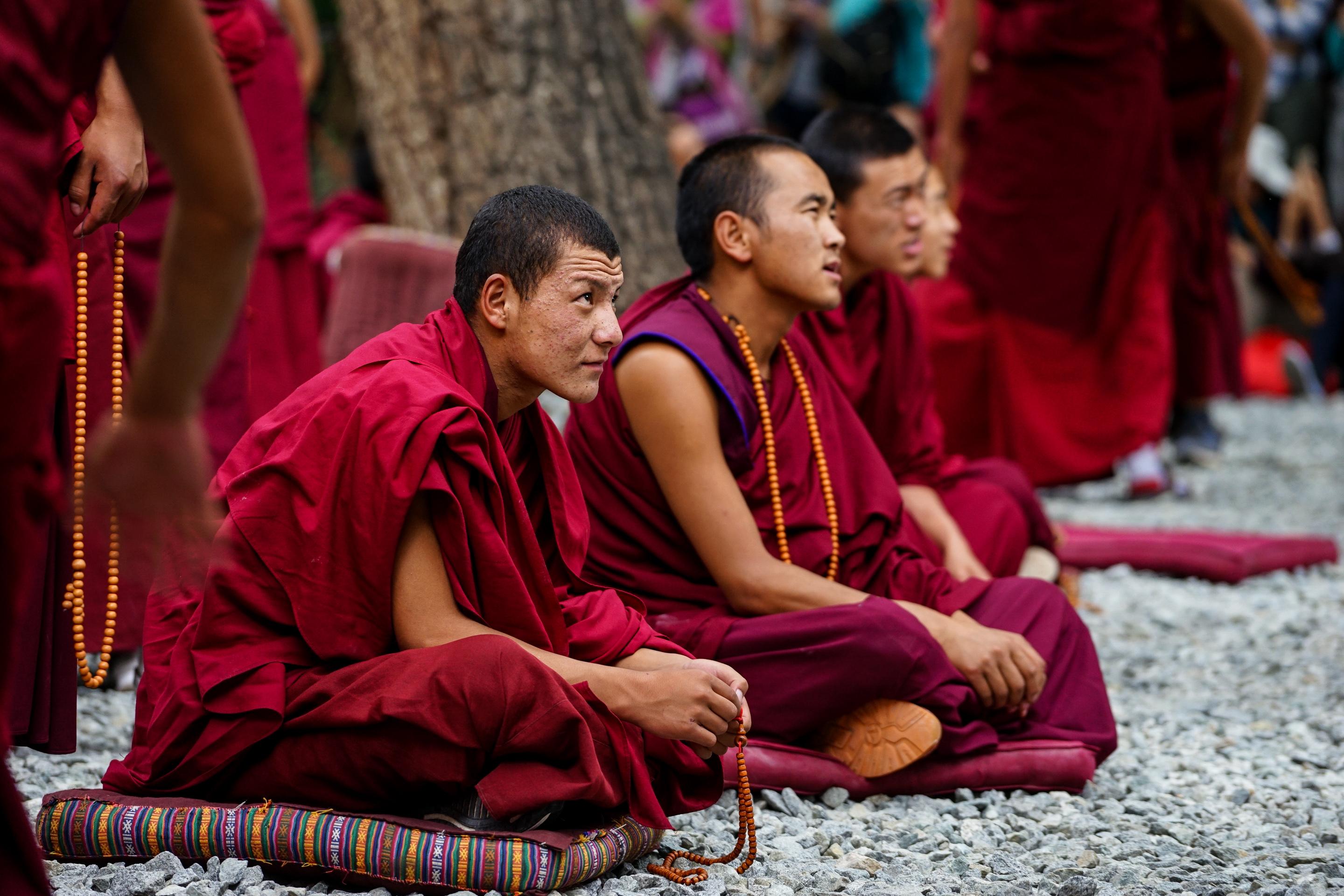 实拍拉萨色拉寺辩经西藏最壮观最热闹的辩经纵然不懂也很精彩
