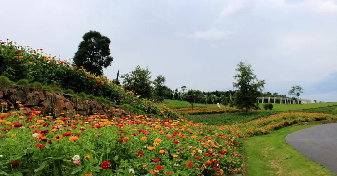 【500張門票免費送】凱光亞熱帶植物園暑期夜場開放