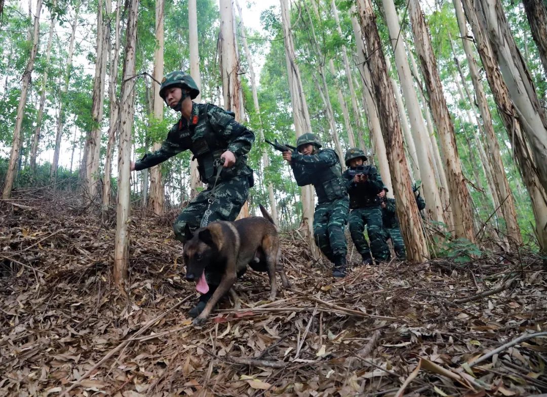 聚焦缉毒官兵西双版纳边境一线侦破特大毒品案