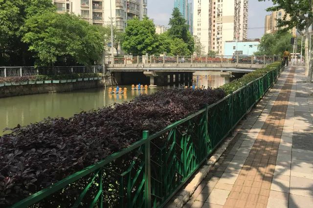 征集漕河泾街道康健路冠生园路街道空间设计方案征集