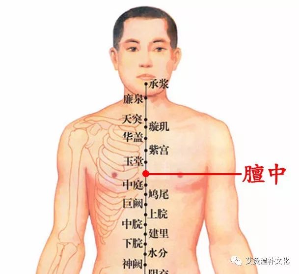 腹中的准确位置图片图图片